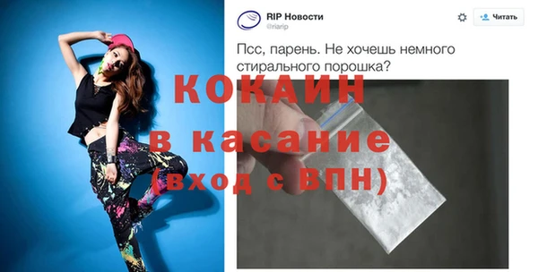 шишки Абаза