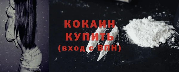 a pvp Новодвинск
