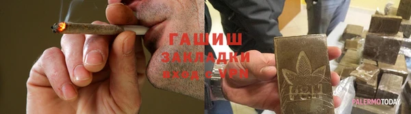 шишки Абаза
