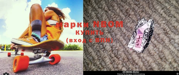 шишки Абаза