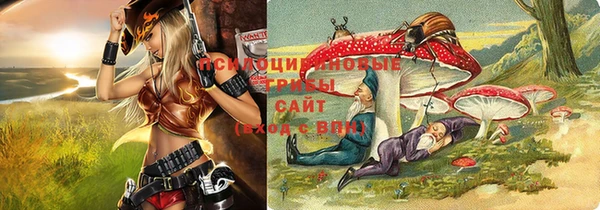 дмт Нея