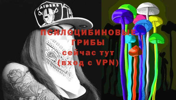 шишки Абаза