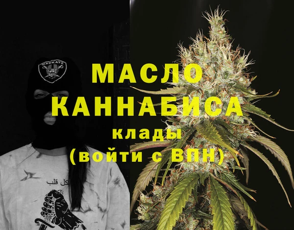 дмт Нея